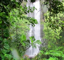 Maui Homes