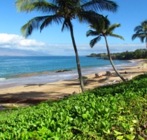 Search Maui MLS